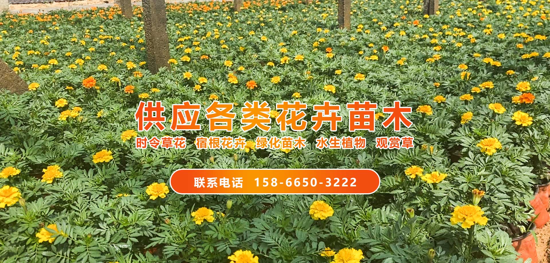 唯美园林绿化工程