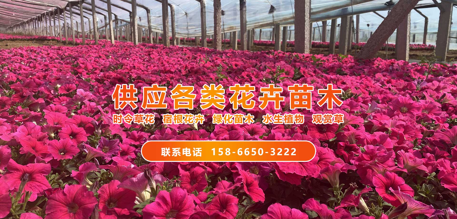 唯美园林