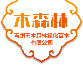 青州市木森林绿化苗木有限公司